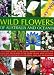 Wild Flowers of Australia and Oceania: An Illustrated Guide to the Floral Diversity of Australia, New Zealand and the Islands of the Pacific Ocean, ... Botanical Illustrations, Maps and Photographs