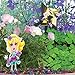 DuneCraft The Fairy Triad