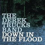 Down In The Flood