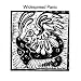 Widespread Panic
