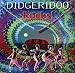 Didgeridoo Rocks!