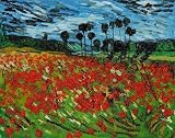 Field of Poppies