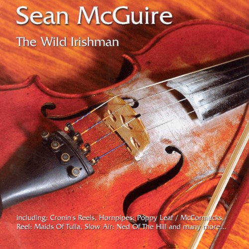 SEAN MCGUIRE : THE WILD IRISHM