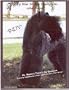 Kerry Blue Terrier Champions, 1984-2005