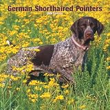 German Shorthaired Pointers 2008 Square Wall