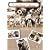 The Little Rascals Collection [DVD] [1933] [US Import]