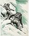 Photographic Print of K2 Conquered from Mary Evans