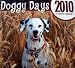 golden_retriever10golden retriever - 2010 Doggy Days Dog Calendar 16 Months