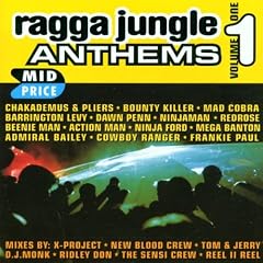 Ragga Jungle Anthems Vol. 1