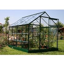 Rion Greenline 6-by-8-Foot Backyard Hobby Greenhouse