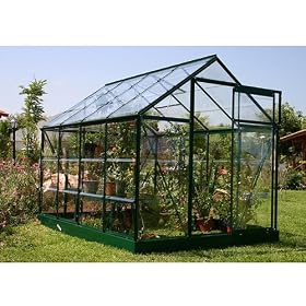 Rion Greenline 6- By 8-Foot Backyard Hobby Greenhouse