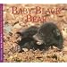 Baby Black Bear (Nature Babies Series)