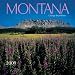 2009 Montana Wall Calendar
