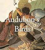Audubon's birds