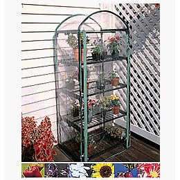 4 Tier Indoor / Outdoor Juliana Plant Growing Rack A Small Greenhouse to Grow Plants, Flowers, Seedlings 4 Tier Indoor / Outdoor Juliana Plant Growing Rack - A Small Greenhouse to Grow Plants, Flowers, Seedlings