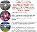 The Guerilla Marketing, Building Effective Lead Ca...