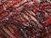 Dark Horse Yarns Grand #104 Scarlet Wisteria Brown Sparkly Eyelash Wool Blend - 100 Gram