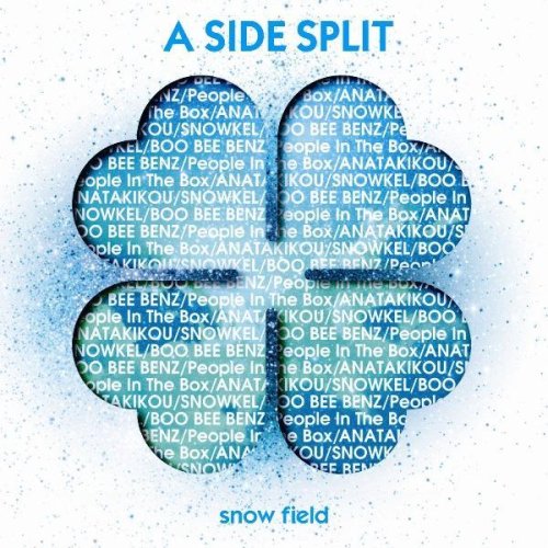A SIDE SPLIT Vol.3~snow field~