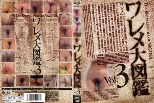 [素人の皆様] ワレメ大図鑑 Vol.3 WREM-003