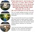 The Secret Generate Extra Cash, Success Principles and Sales Models for Motion Detectors For The Home On-line Businesses 3 CD Pack