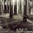 Among Trees 2009 Mini Wall Calendar