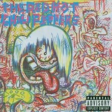 The Red Hot Chili Peppers
