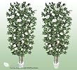 TWO 7' Artificial Camalia Trees with Real Wood Trunks