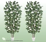 TWO 7' Artificial Camalia Trees with Real Wood Trunks