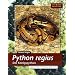 Python regius. Der K�nigspython