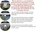 The Down and Dirty Generate Extra Cash, Godfather Principles and Accounting & Finance for Shopping Carts Businesses 3 CD Combo Pack