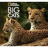 national geographic big cats