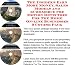 The Insider's Earn More Money, Sales Models and eCommerce for Motion Detectors For The Home On-line Businesses 3 Course Pack
