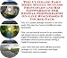 The Ultimate Earn More Money, Success Principles and Biz Networking for Digital Photography On-line Businesses 3 Course Pack