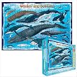 Whales & Dolphins Jigsaw Puzzle - 100 pieces