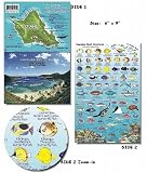 O'ahu Hawaii Reef Fish and Creature Guide