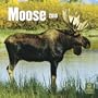 Moose 2010 Square Wall