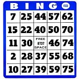Large Print Bingo Card