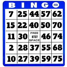 Low Vision Bingo Cards 