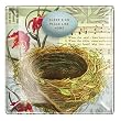 Bird's Nest Fringe Studio Square Transferware Small Glass Tray