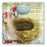 Bird's Nest Fringe Studio Square Transferware Small Glass Tray