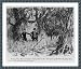 Historic Print (L): [Cartoon of Florida real estate agent showing dense swampland to client, saying: Can't y
