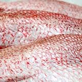 3 Lb. American Red Snapper