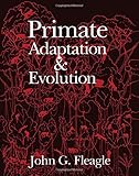 Primate adaptation & evolution