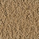 Shaw Super Chic Shag Area Rug September Beige