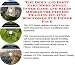 The Down and Dirty Earn More Money, Inner Game and Sales Models for Fitness Training On-line Businesses 3 CD Power Pack