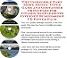 Book The Incredible Earn More Money, Inner Game and Godfather Principles for Vitamin Supplements Internet Businesses 3 CD Power Pack
