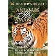Animals Are Amazing: Secrets of Survival Living on the Edge by 