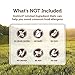 Instinct Limited Ingredient Diet Grain Free Real Turkey Recipe Natural Wet Canned Dog Food by Nature's Variety, 5.5 oz. Cans (Case of 12)