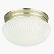 Westinghouse Light A 66329 Ceiling Fixture