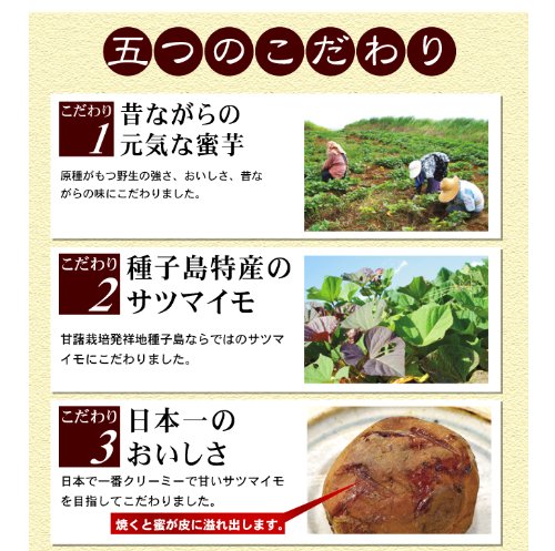 【種子島蜜芋 3kg 】夢百笑が作った鹿児島 種子島産　安納芋 Ｓ～Ｌサイズ